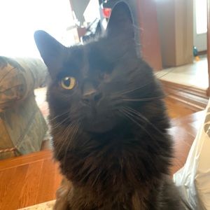 Meet your Posher, Sara